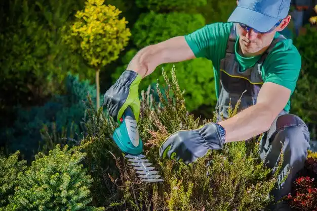 landscaping services Yaphank